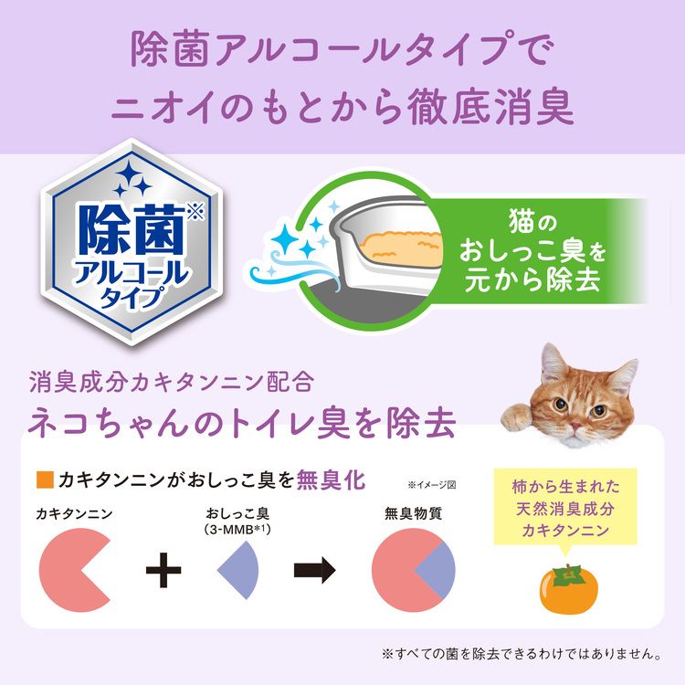 ペット用ウエット掃除おしっこ猫ボトル詰替え除菌アルコールおしっこ臭エリエールペットキミおもい徹底キレイおそうじシートボトルつめかえ60枚 