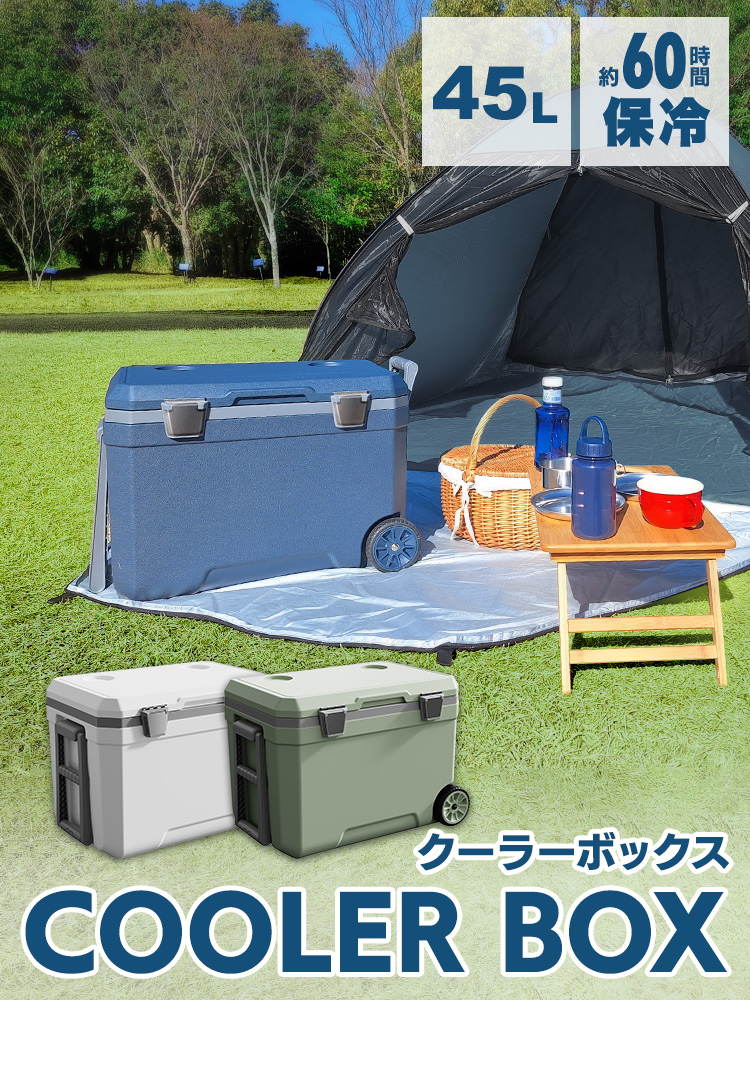 クーラーボックス 小型 保冷バッグ クーラーバッグ 釣り