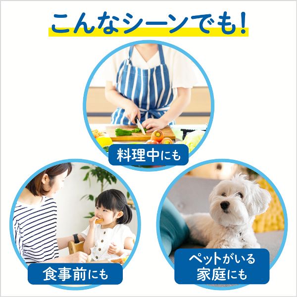 詰め替え泡で出てくる約4回分まとめ買い手洗い石鹸薬用殺菌消毒SPT採用弱酸性ビオレユー【3個セット】ハンドウォッシュ花王液体せっけんビオレｕ泡ハンドソープつめかえ用770mlKao 