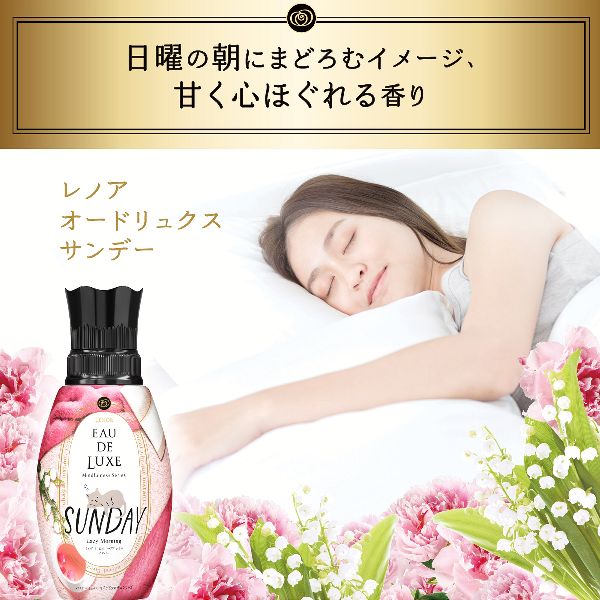 柔軟剤詰め替えレノア衣類・タオルプレミアムアロマEAUDELUXEまとめ買い消臭RelaxSleepSundayInnocent【3個セット】柔軟剤詰め替えレノアレノアオードリュクスマインドフルネスシリーズ/スタイルシリーズつめかえ用超特大サイズ1010mlP&G 