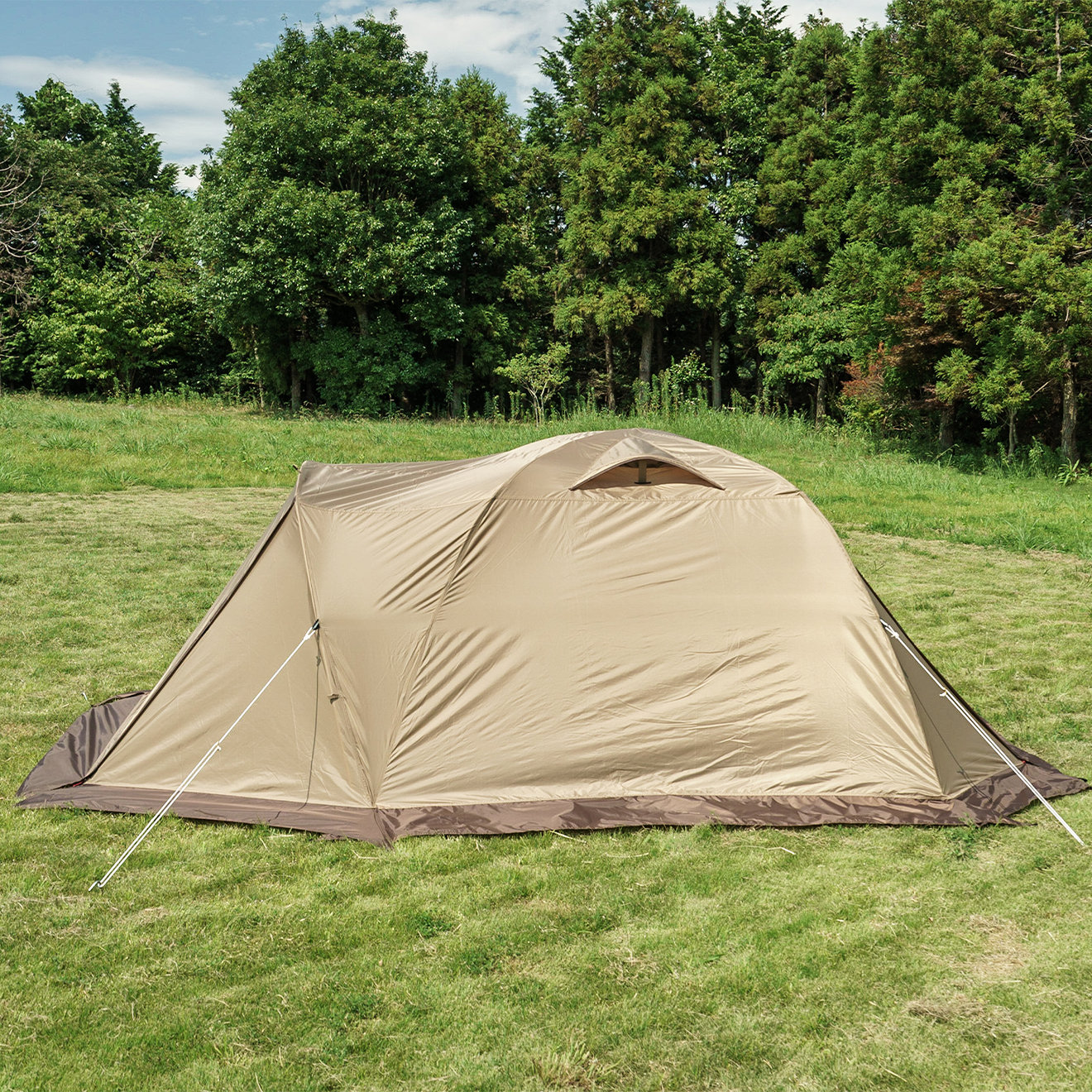 アウトドア キャンプ テント ピスタ34 2657-80 (代引不可) : アイリス