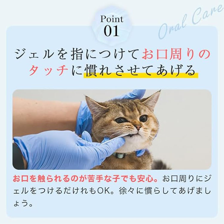 MISHONE（ミシュワン） 歯磨きジェル 猫用 ヒューマングレード Total