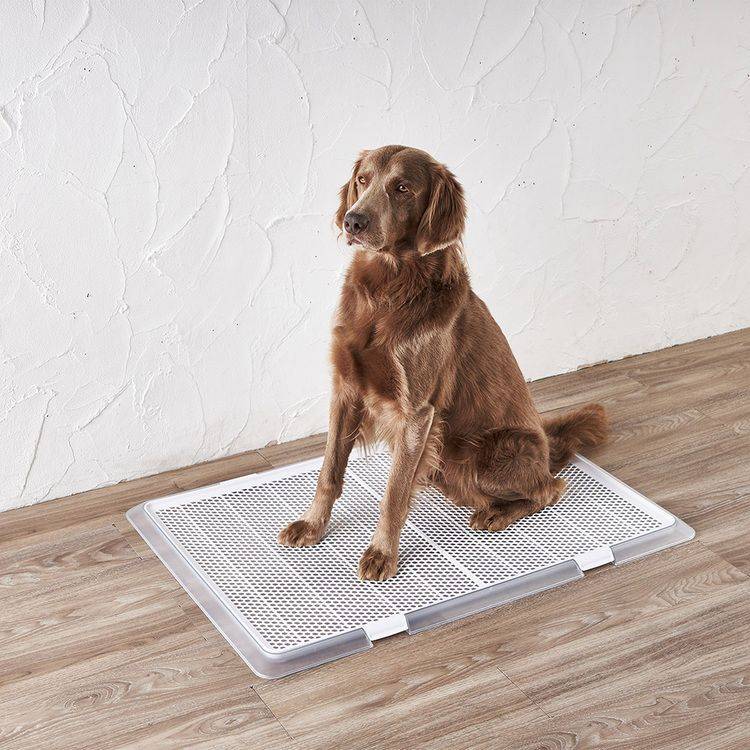 ボンビアルコン 犬 トイレ ペット ペットレー トイレトレー ペット