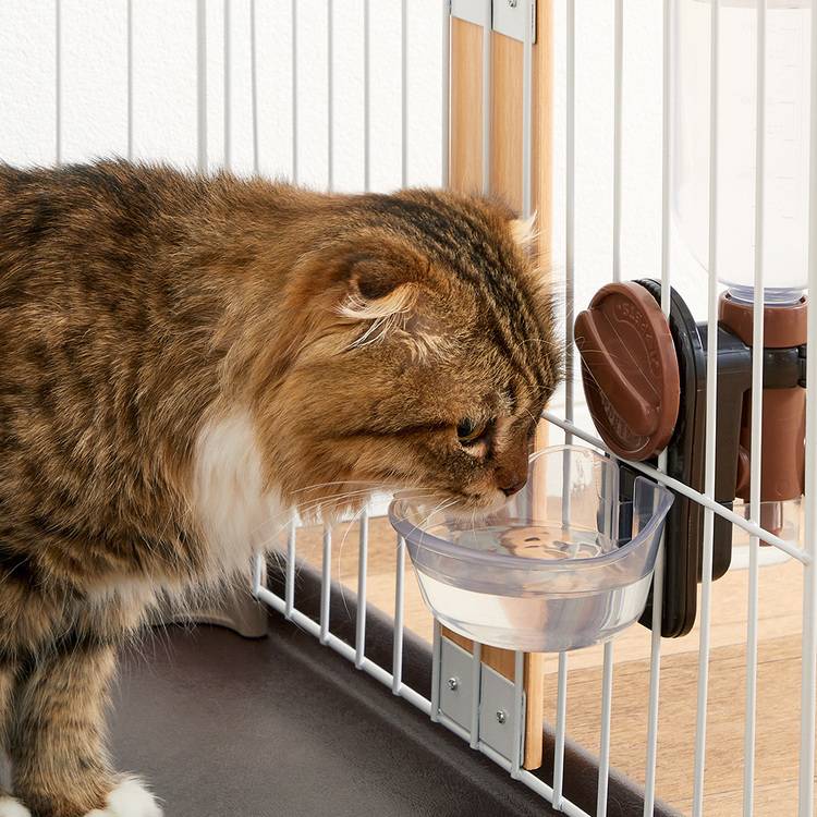 犬猫ペット食器給水取り付け洗えるボンビアルコンペットボトル漏れにくいラクリアSボンビアルコン 
