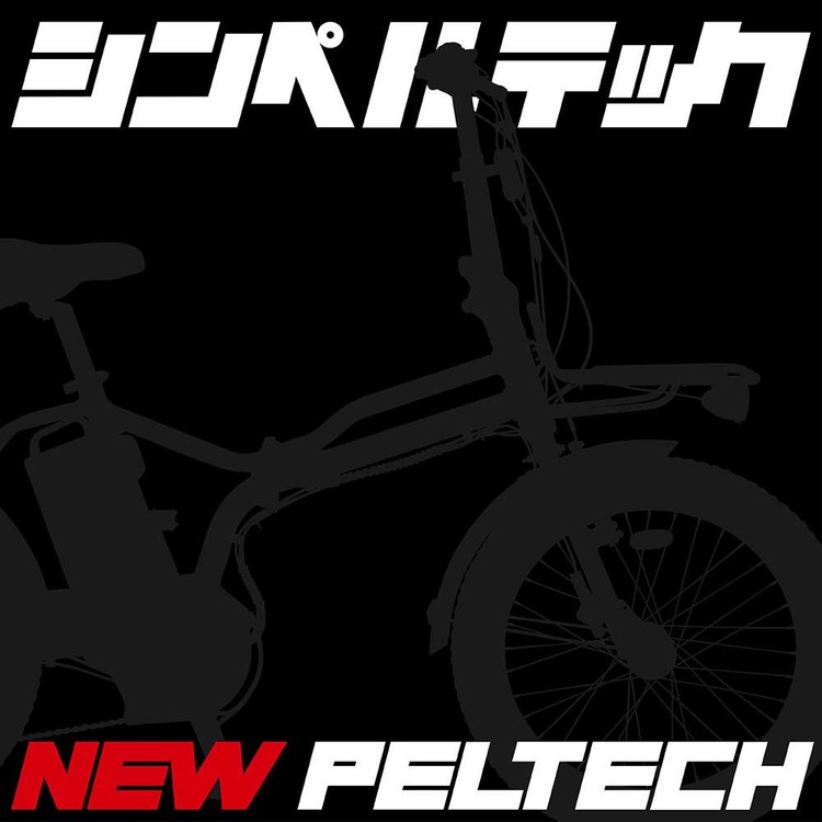 電動アシスト自転車電動自転車折り畳み折りたたみPELTECHペルテック自転車E-BIKE電動アシスト自転車20型折り畳み外装6段変速ハイパワーモデル36V8.5AH【簡易組立必要品】＊販売証明書付きＰＥＬＴＥＣＨ 