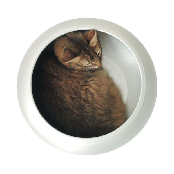 期間限定送料無料 猫鍋 ひえひえアルミニャンコつぼ 当日発送 猫用品 Campupwithpeople Org