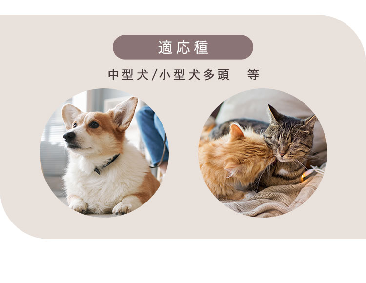 ペットベッド 犬 猫 ソファー オーバル クッション マット ふわふわ 秋