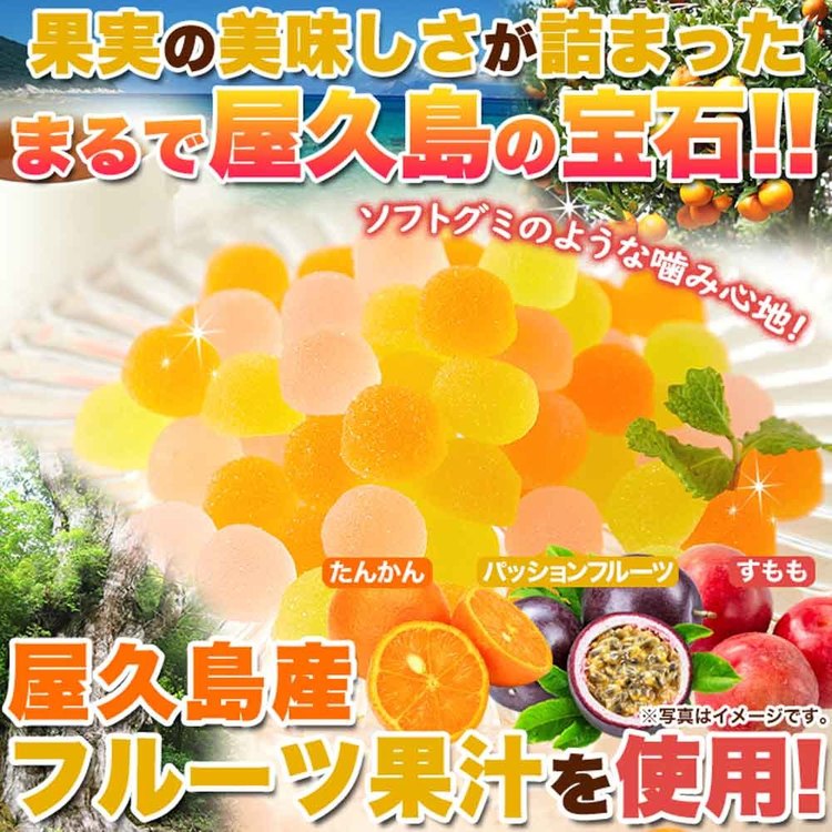 ゼリーグミソフトグミ果汁屋久島文化祭子供会ペクチンゼリー個包装大容量【お徳用】屋久島フルーツのペクチンゼリー3種500g天然生活 