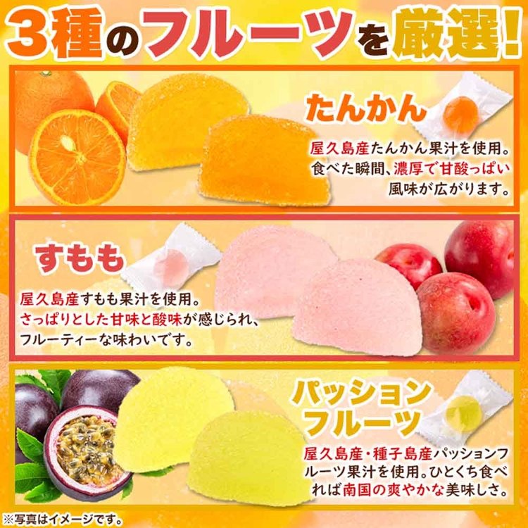 ゼリーグミソフトグミ果汁屋久島文化祭子供会ペクチンゼリー個包装大容量【お徳用】屋久島フルーツのペクチンゼリー3種500g天然生活 
