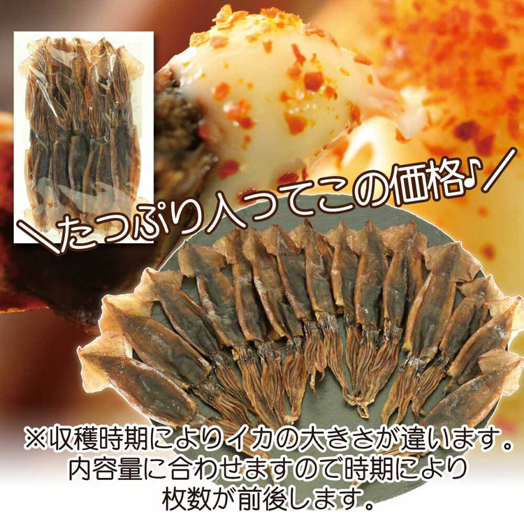 イカ珍味つまみ肴無添加丸干し炙りワタイカワタ丸干しいかおつまみ珍味85gTokka 