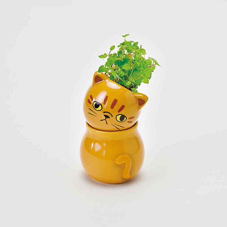 栽培キット栽培セットミントバジルワイルドストロベリー聖新陶芸COROCOROインテリア陶器SEISHINコロコロキャット 