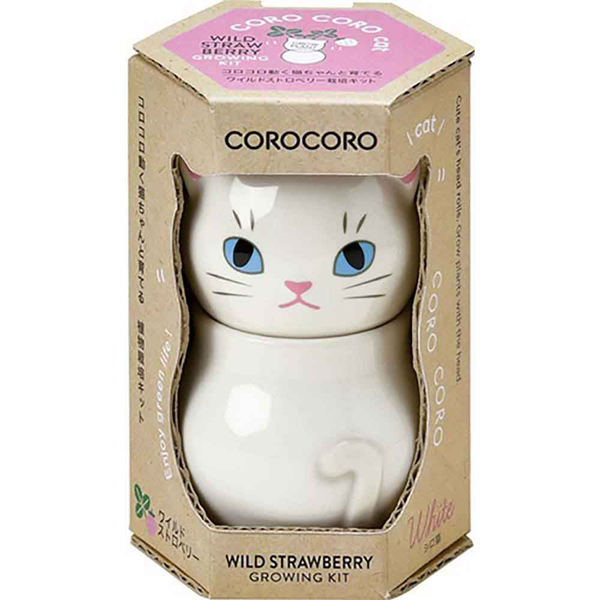 栽培キット ミント バジル ワイルドストロベリー コロコロ キャット
