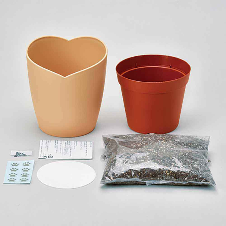 栽培キット栽培セットマタタビ聖新陶芸またたびギフトプラスチックねこデザインインテリアSEISHIN西洋マタタビ栽培キットキャットニップ 