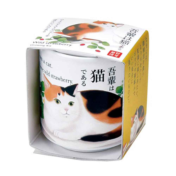 青*様  ワイルドストロベリー　大量まとめ売り 810_1.jpg