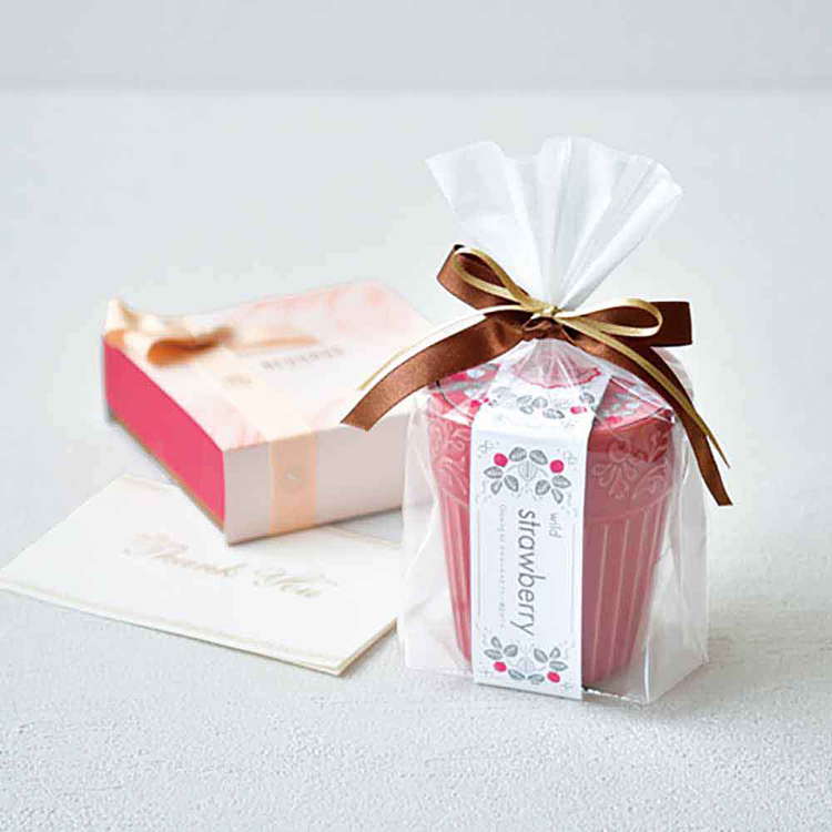 栽培キット ワイルドストロベリー ミニヒマワリ 四つ葉のクローバー 聖