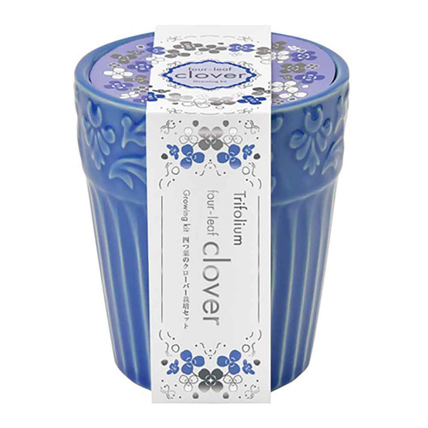 栽培キット ワイルドストロベリー ミニヒマワリ 四つ葉のクローバー 聖