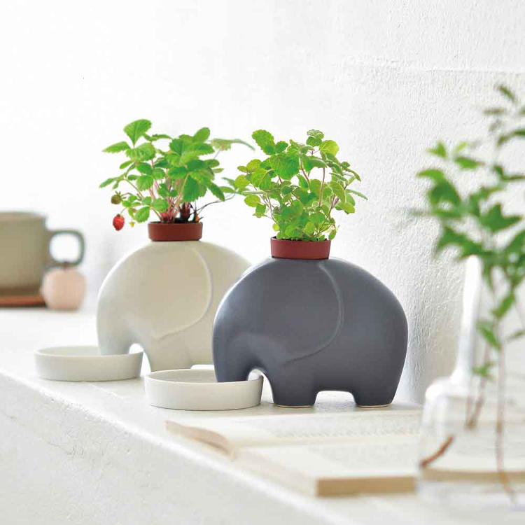 HERRBIVORE BOTANICALS 2点 セット 栽培キット ハーブ 2種セット アップルミント エレプラント ヒポポ