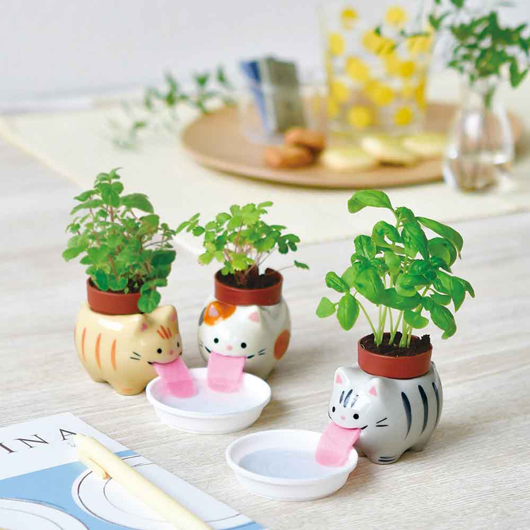 パワーアロマテラピークローバー ef3928a1e5f84a97364da05840850c