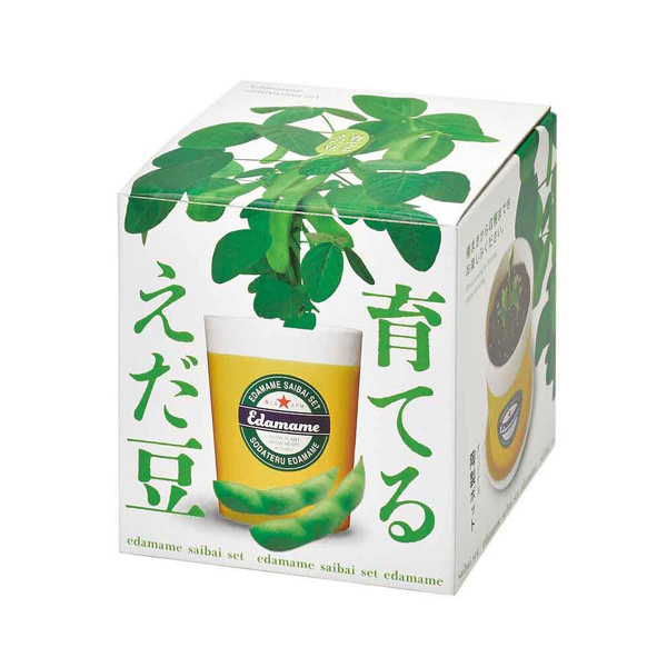 栽培キット 野菜 えだまめ 聖新陶芸 SEISHIN インテリア 枝豆 ギフト