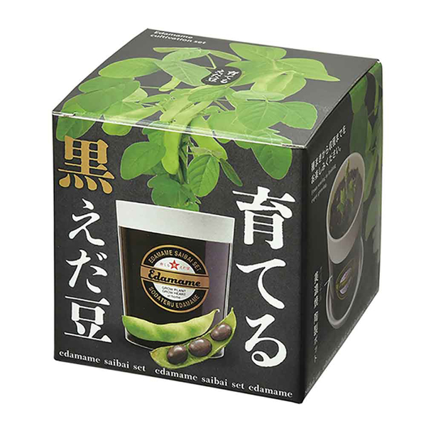 栽培キット 野菜 えだまめ 聖新陶芸 SEISHIN インテリア 枝豆 ギフト