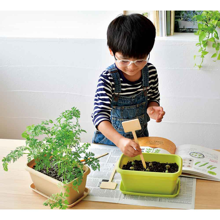 栽培キット栽培セットカラープランター聖新陶芸SEISHINミニ菜園育てる野菜花エンジョイプランター 