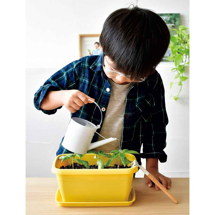 栽培キット栽培セットカラープランター聖新陶芸SEISHINミニ菜園育てる野菜花エンジョイプランター 