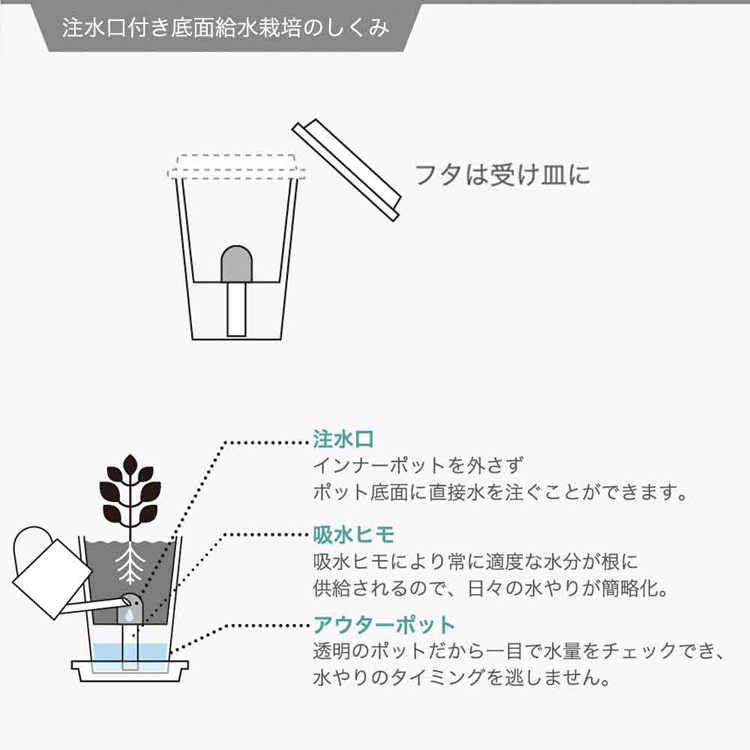 栽培キット栽培セット水耕栽培聖新陶芸SEISHINサラダミニ菜園透明ポットフレッシュフィール 