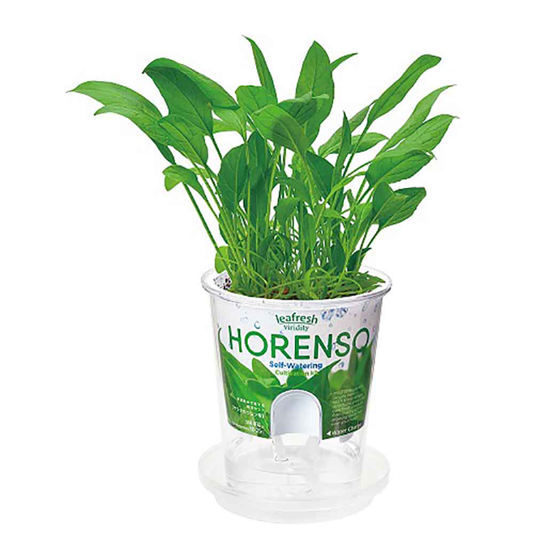 栽培キット栽培セット水耕栽培聖新陶芸SEISHINサラダミニ菜園透明ポットフレッシュフィール 