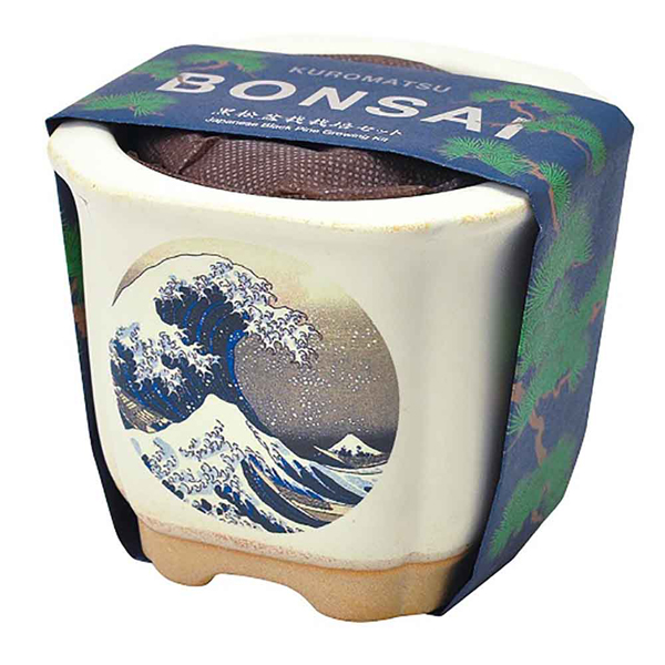 陶芸　松 セラミカ | 今週末、 クラフトフェアまつもとが開催され、 松本の街は