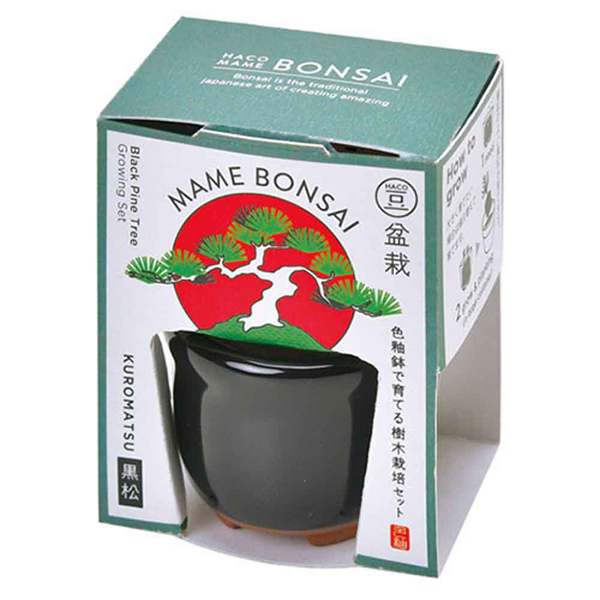 栽培キット 盆栽 聖新陶芸 豆盆栽 SEISHIN 陶器 HACO MAME 盆栽栽培