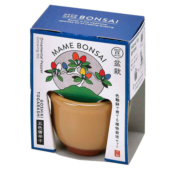 栽培キット 盆栽 聖新陶芸 豆盆栽 SEISHIN 陶器 HACO MAME 盆栽栽培