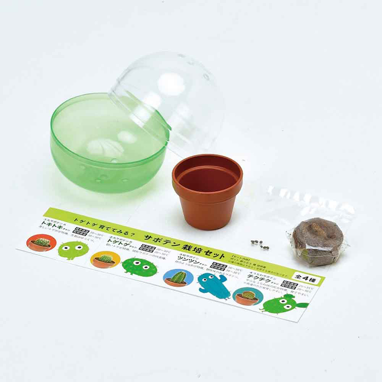 栽培キット サボテン 聖新陶芸 SEISHIN ガチャ さぼてん ギフト