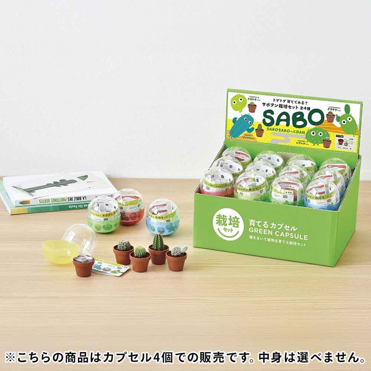 栽培キット栽培セットサボテン聖新陶芸SEISHINガチャさぼてんギフトトゲトゲ【4個セット】育てるカプセルサボテン 