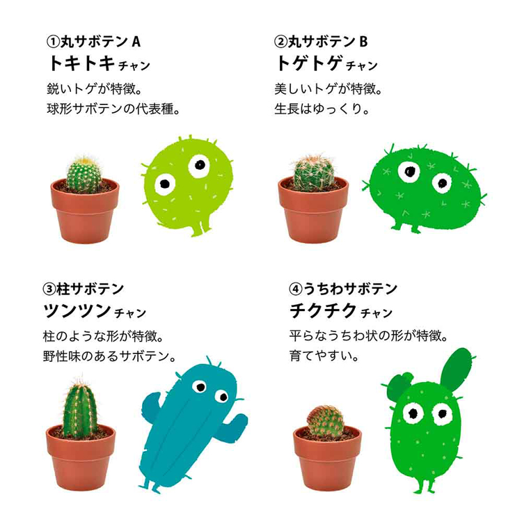 栽培キット栽培セットサボテン聖新陶芸SEISHINガチャさぼてんギフトトゲトゲ【4個セット】育てるカプセルサボテン 
