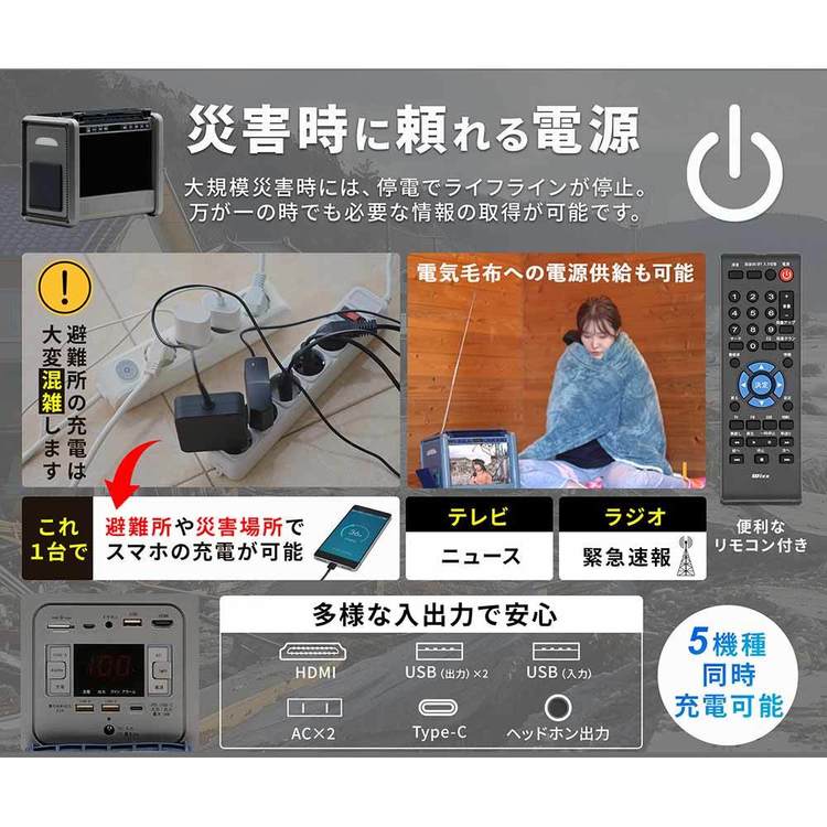 TV/ラジオ搭載ポータブル電源 PSTV-600 ダイニチ電子 : アイリスプラザ