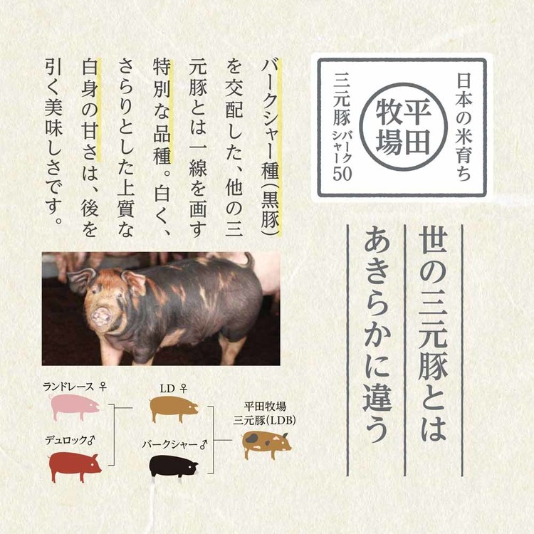 平田牧場平田牧場金華豚金華豚平田牧場三元豚三元豚米ハンバーグ炭火焼肉送料無料日本の米育ち三元豚炭火焼ハンバーグギフト株式会社平田牧場 