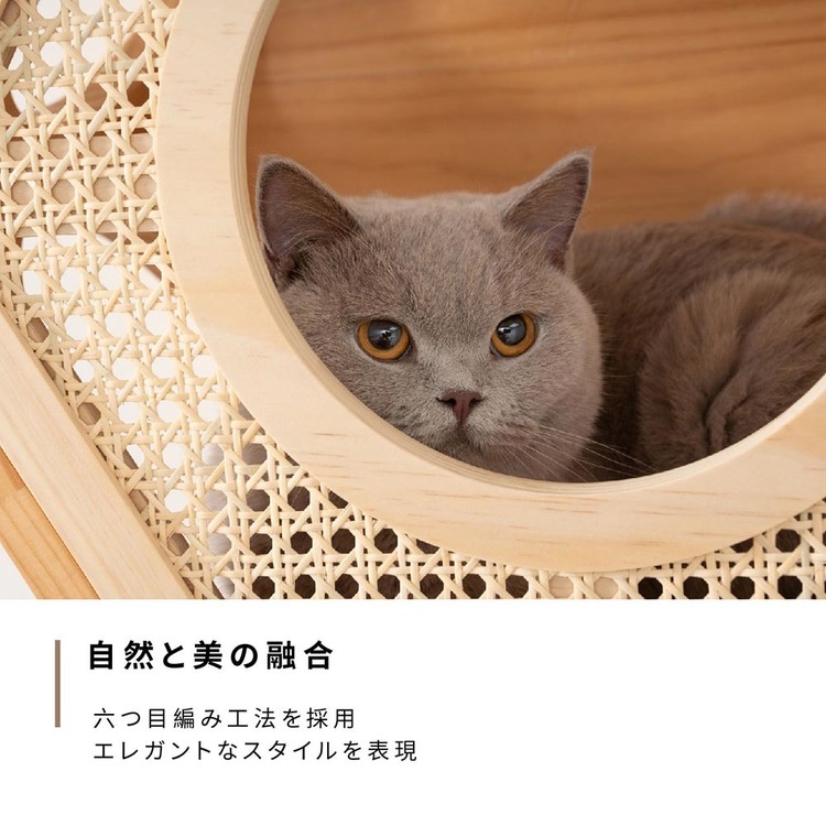 キャットウォーク キャットステップ 猫用品 ペット用品 猫家具 猫