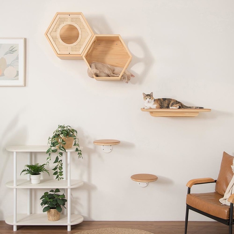 キャットウォークキャットステップ猫用品ペット用品猫家具壁掛けシニア猫ペット共生猫部屋短足猫MZ0026長彩株式会社 