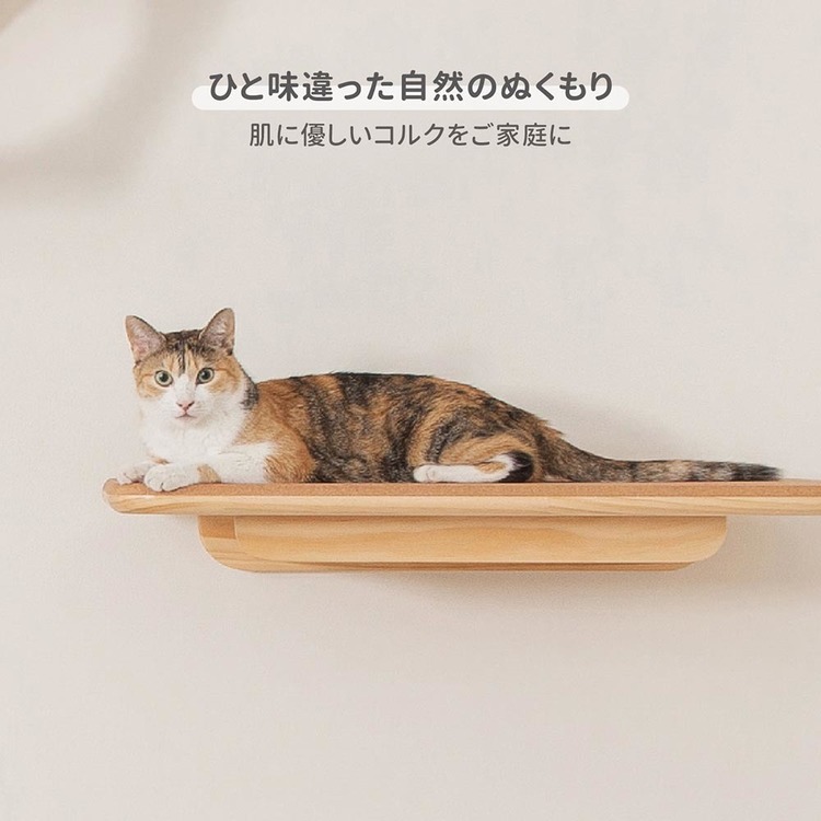 No27 キャットステップ キャットウォーク 奥行大 ハンドメイド 焼印