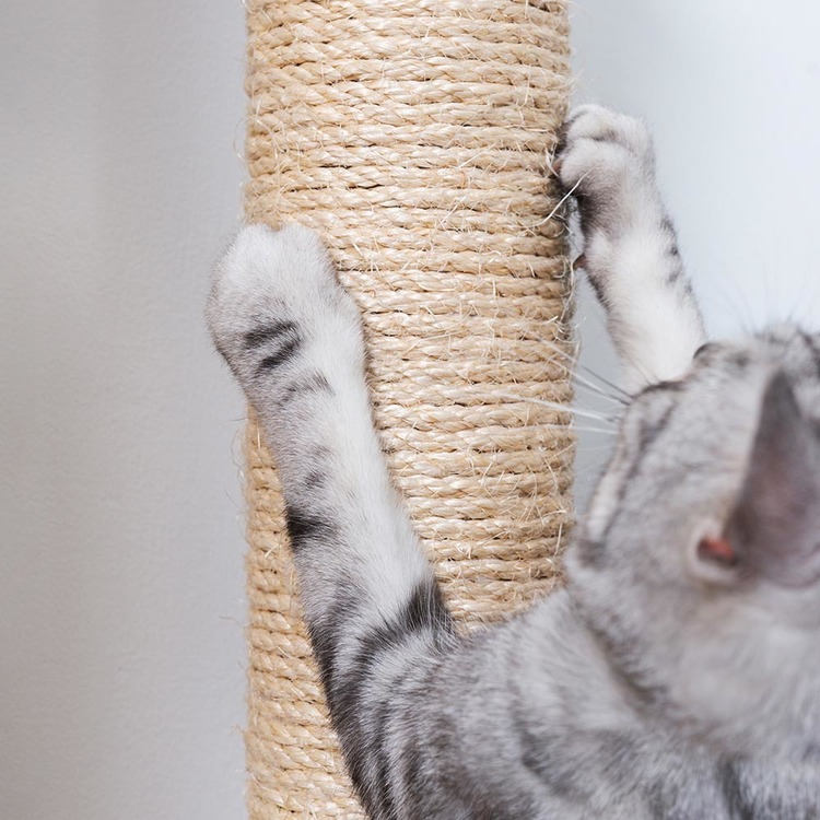 キャットウォークキャットステップ猫用品ペット用品猫家具爪研ぎ壁掛けペット共生猫部屋賃貸おすすめ【倉庫登録】CYLINDER交換用ポールII長彩株式会社 