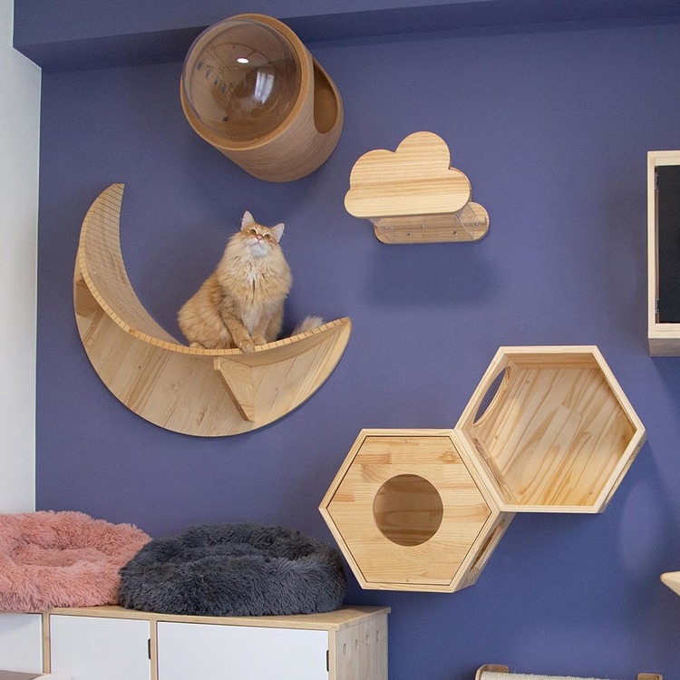 キャットウォークキャットステップ猫用品ペット用品猫家具猫ベッド壁掛けペット共生猫部屋月LUNA長彩株式会社 