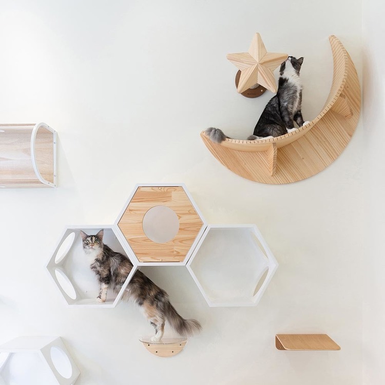キャットウォークキャットステップ猫用品ペット用品猫家具猫ベッド壁掛けペット共生猫部屋月LUNA長彩株式会社 