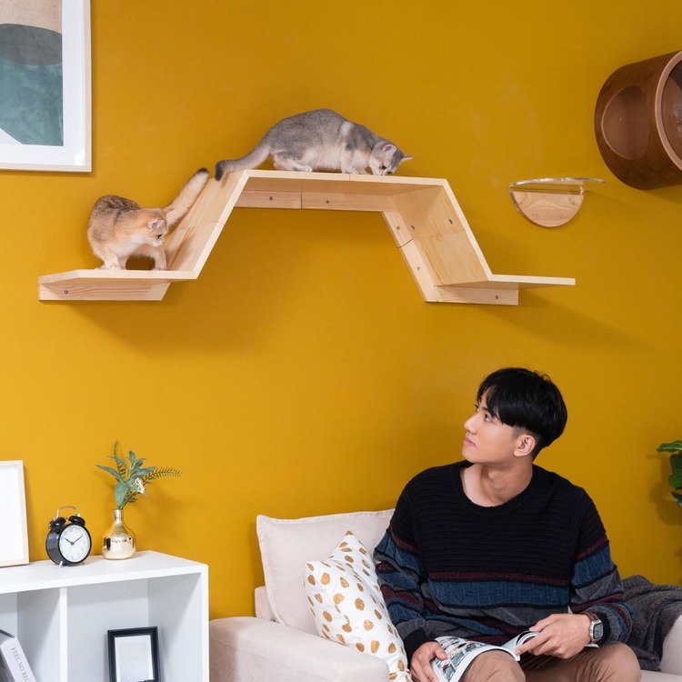 キャットウォークキャットステップ猫用品ペット用品猫家具壁掛けシニア猫ペット共生猫部屋短足猫ZONE長彩株式会社 