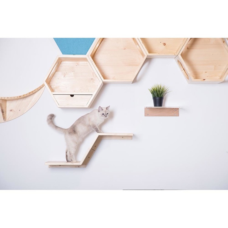 キャットウォークキャットステップ猫用品ペット用品猫家具壁掛けシニア猫ペット共生猫部屋短足猫ZONE長彩株式会社 