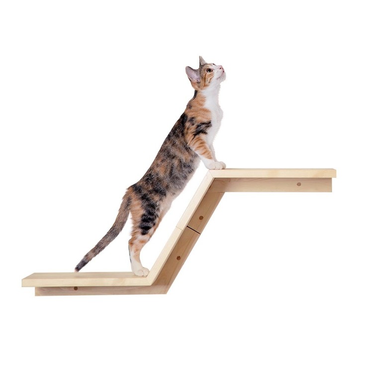 キャットウォークキャットステップ猫用品ペット用品猫家具壁掛けシニア猫ペット共生猫部屋短足猫ZONE長彩株式会社 