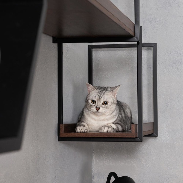 キャットウォークキャットステップ猫用品ペット用品猫家具猫ベッド壁掛け天井吊り下げ猫部屋ペット共生AVENUE長彩株式会社 