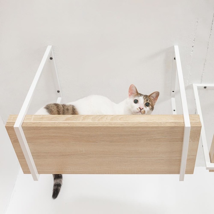 キャットウォークキャットステップ猫用品ペット用品猫家具猫ベッド壁掛け天井吊り下げ猫部屋ペット共生AVENUE長彩株式会社 