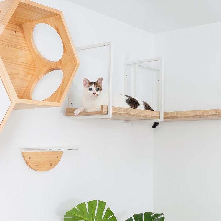 キャットウォークキャットステップ猫用品ペット用品猫家具猫ベッド壁掛け天井吊り下げ猫部屋ペット共生AVENUE長彩株式会社 