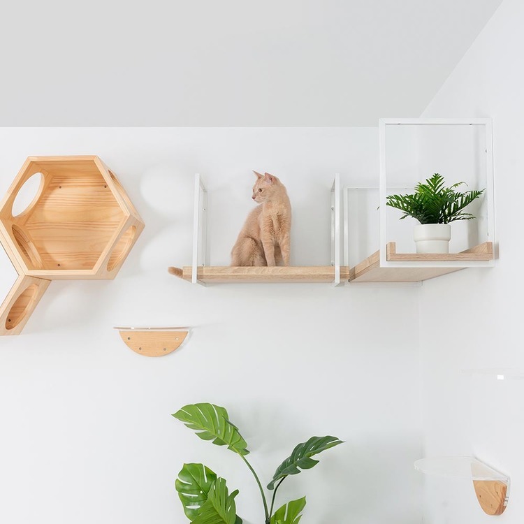 キャットウォークキャットステップ猫用品ペット用品猫家具猫ベッド壁掛け天井吊り下げ猫部屋ペット共生AVENUE長彩株式会社 