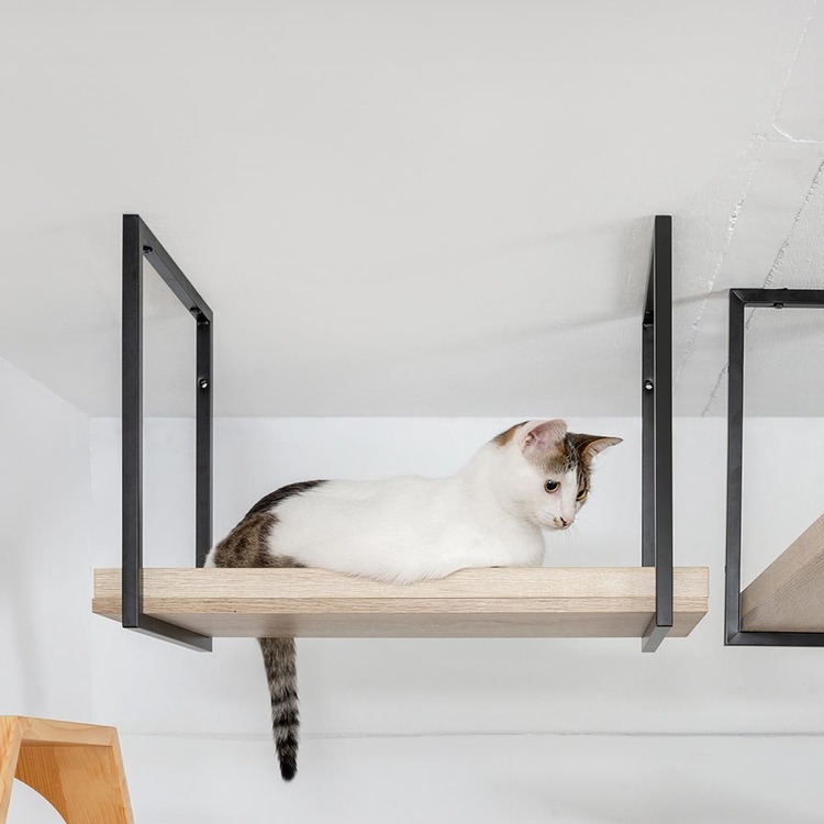 キャットウォークキャットステップ猫用品ペット用品猫家具猫ベッド壁掛け天井吊り下げ猫部屋ペット共生AVENUE長彩株式会社 